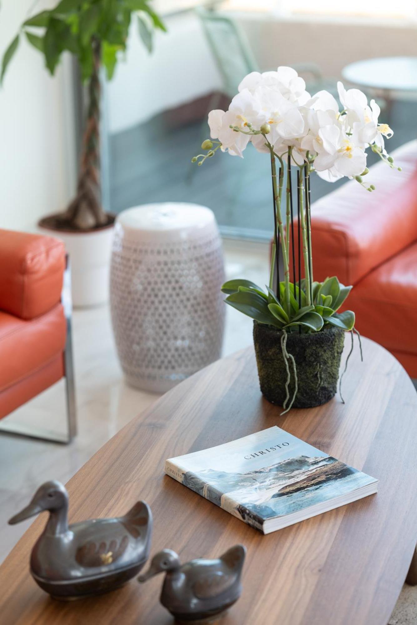 Apartamento Sweett - Maison Blanche